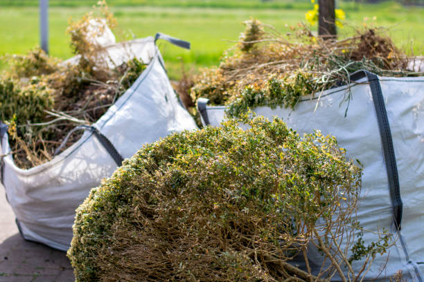 Best Appliance Removal Near Me  in Sorrento, LA